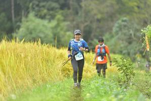 BIB: 
                            <button type="button" onclick="openModal(13434096)" class="btn btn-primary btn-sm float-right btn-popup" data-toggle="modal" data-target=".modal-high-quality">
                        <i class="fas fa-shopping-cart"></i> Add to Cart
                    </button>
                                            <button type="button" onclick="isThisMe(13434096, true)" class="btn btn-success btn-sm float-right btn-popup btn-isme hidden" data-toggle="tooltip" data-placement="bottom" title="นี่คือรูปของคุณใช่ไหม คลิกที่นี่เพื่อเอาเข้าอัลบั้ม">
                        <i class="fas fa-plus"></i> Add to album
                    </button>
                    <button type="button" onclick="isThisMe(13434096, false)" class="btn btn-warning btn-sm float-right btn-popup btn-isnotme hidden">
                        <i class="fas fa-ban"></i> Remove from album
                    </button>